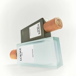 Making Circular Design Work for Loewe